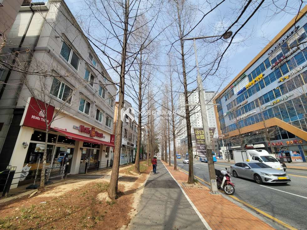 대전 유성구 관평동 관평초,중학교 인근 주인세대 거주 가능한 4차선 도로변 상가주택 매매 매매 매물번호 11816 사진 6