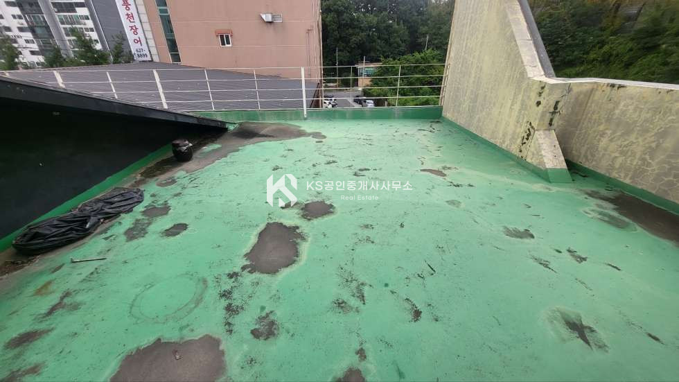 대전 대덕구 읍내동 읍내동 대로변 접한 저렴한 사옥 건물 매매 매매 매물번호 12154 사진 19