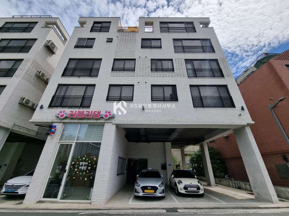 대전 서구 도안동 도안동 신축 다가구 매매 매물번호 12157 사진 1